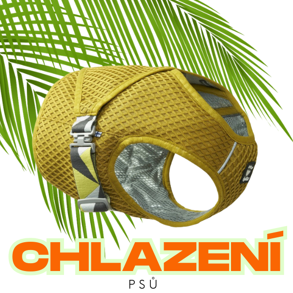 CHLAZENI